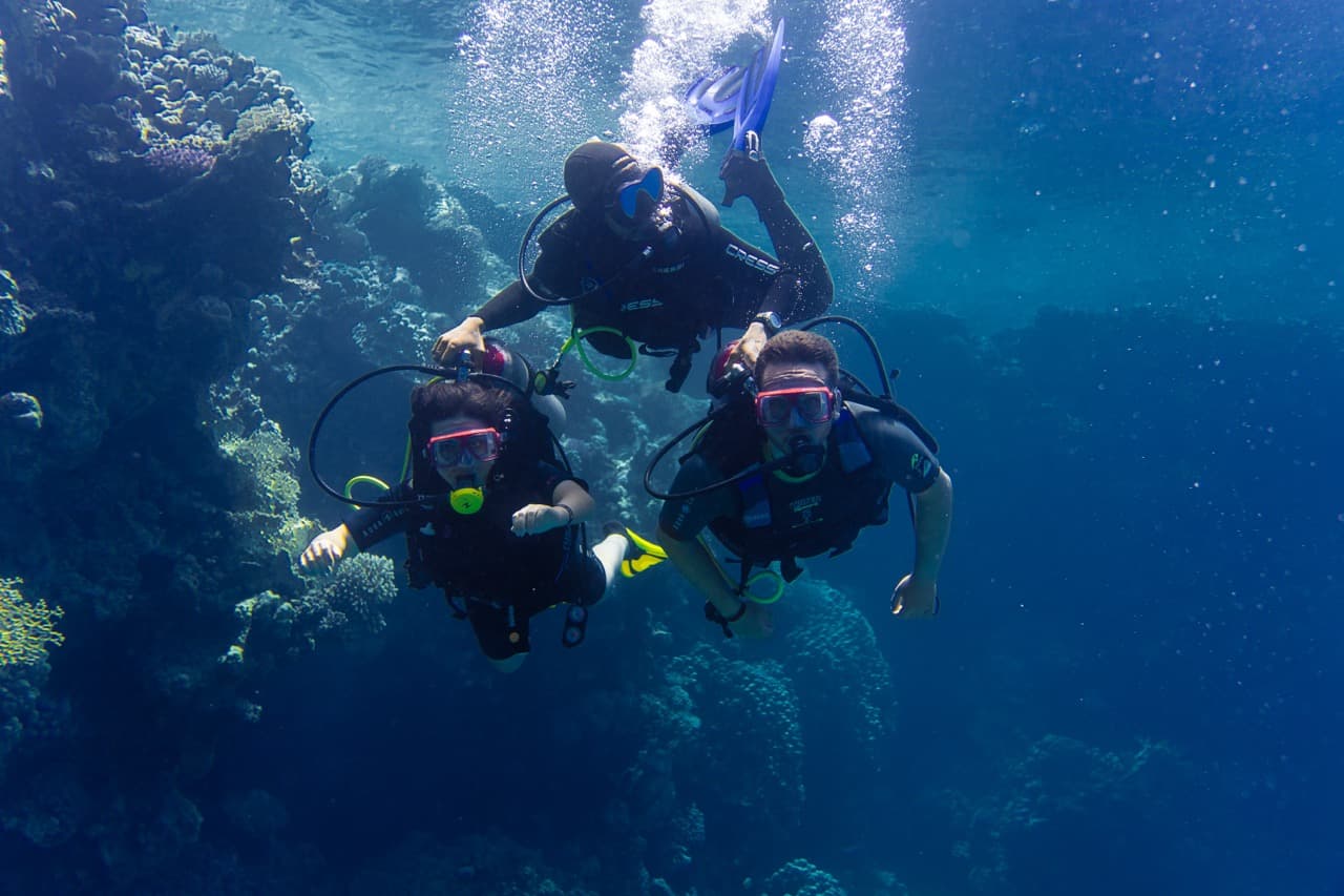 Curso Basic Diver
